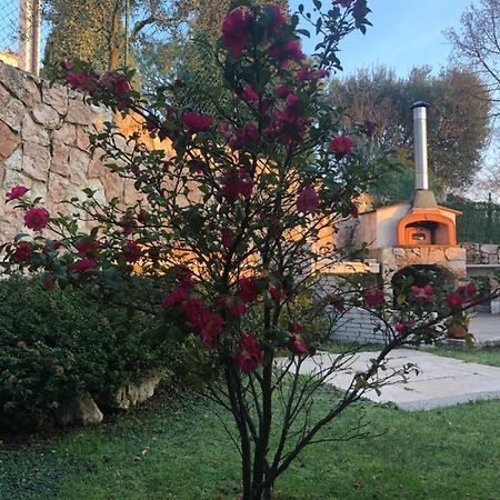 B&B Damiano Crespano del Grappa Bagian luar foto