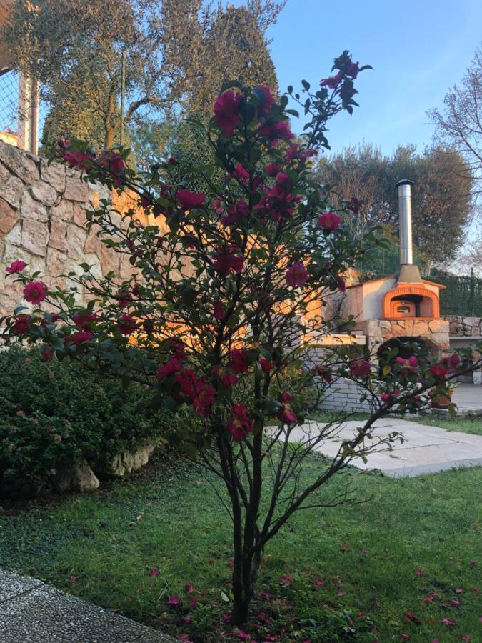 B&B Damiano Crespano del Grappa Bagian luar foto
